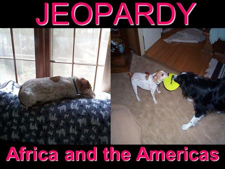 JEOPARDY Africa and the Americas Categories 100 200 300 400 500 100 200 300 400 500 100 200 300 400 500 100 200 300 400 500 100 200 300 400 500 Africa.
