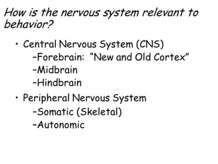 Central Nervous System (CNS) –Forebrain: “New and Old Cortex” –Midbrain –Hindbrain Peripheral Nervous System –Somatic (Skeletal) –Autonomic How is the.
