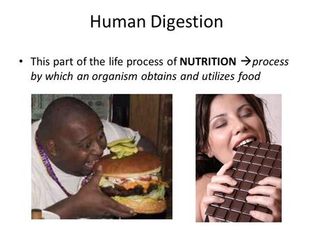 Human Digestion This part of the life process of NUTRITION  process by which an organism obtains and utilizes food.