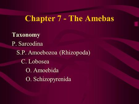 Chapter 7 - The Amebas Taxonomy P. Sarcodina