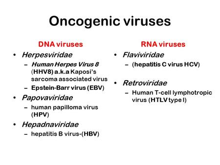 Oncogenic viruses DNA viruses Herpesviridae Papovaviridae