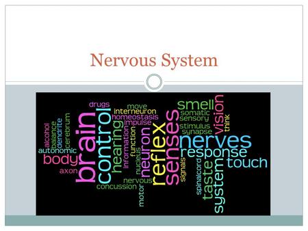 Nervous System. Essential Questions How do the structures of the nervous system relate to its functions? How are other body systems interrelated to the.