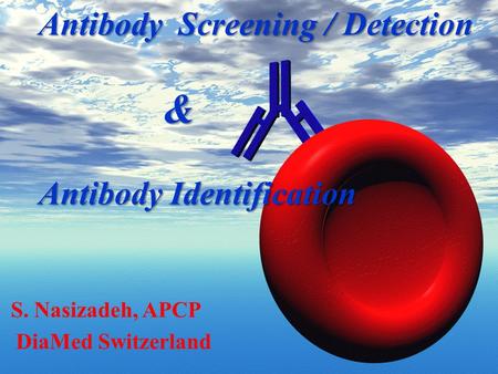 Antibody Screening / Detection & Antibody Identification