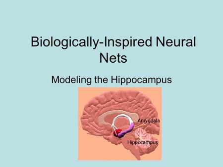 Biologically-Inspired Neural Nets Modeling the Hippocampus.