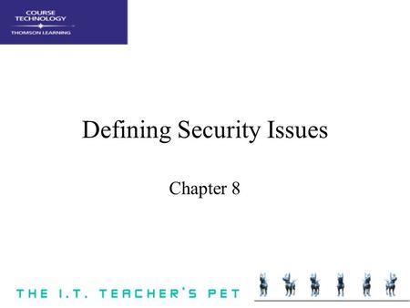 Defining Security Issues