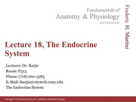 Lecture 18, The Endocrine System