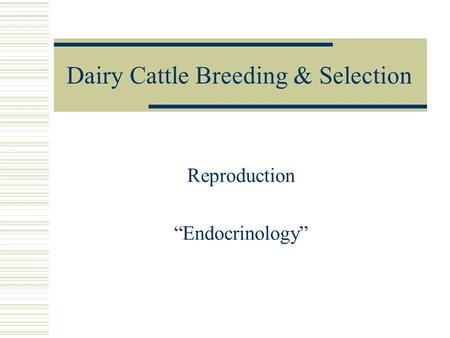 Dairy Cattle Breeding & Selection Reproduction “Endocrinology”