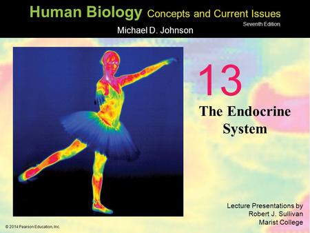 13 The Endocrine System 1.