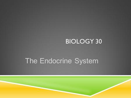 BIOLOGY 30 The Endocrine System. COMPARISON OF NERVOUS SYSTEM AND ENDOCRINE SYSTEM 2 Long lasting Lasts a short while Slow acting Fast acting Hormones.