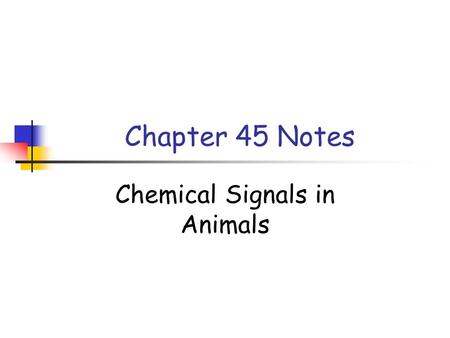 Chapter 45 Notes Chemical Signals in Animals. Introduction to Regulatory Systems An animal hormone is a chemical signal that is secreted into body fluids.