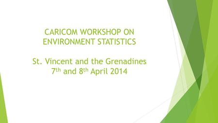 CARICOM WORKSHOP ON ENVIRONMENT STATISTICS St. Vincent and the Grenadines 7 th and 8 th April 2014.
