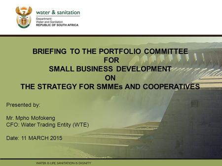 PRESENTATION TITLE Presented by: Name Surname Directorate Date BRIEFING TO THE PORTFOLIO COMMITTEE FOR SMALL BUSINESS DEVELOPMENT ON THE STRATEGY FOR SMMEs.