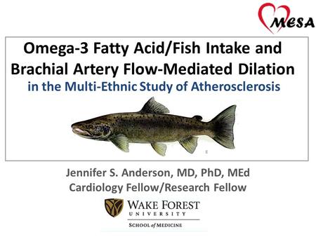 Omega-3 Fatty Acid/Fish Intake and Brachial Artery Flow-Mediated Dilation Jennifer S. Anderson, MD, PhD, MEd Cardiology Fellow/Research Fellow in the Multi-Ethnic.