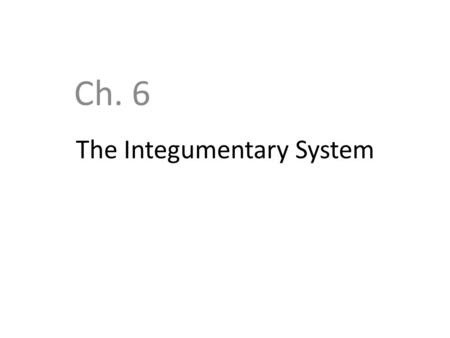 The Integumentary System Ch. 6. Objectives Identify various parts of the integument Know the functions of the integumentary system Know the structural.