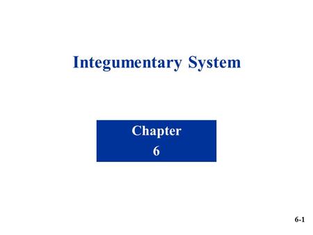 Integumentary System Chapter 6 6-1.