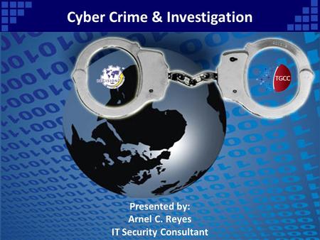 Cyber Crime & Investigation IT Security Consultant