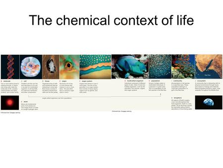 The chemical context of life