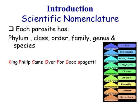 Introduction Scientific Nomenclature