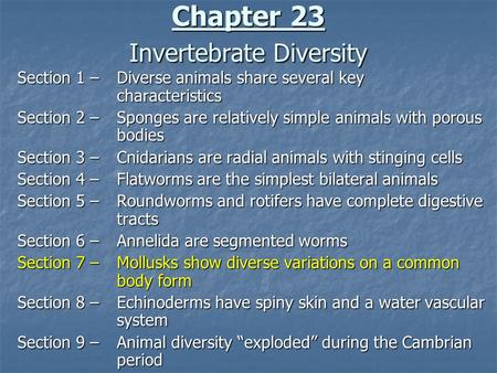 Chapter 23 Invertebrate Diversity Section 1 –Diverse animals share several key characteristics Section 2 –Sponges are relatively simple animals with porous.