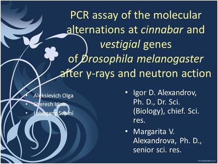 PCR assay of the molecular alternations at cinnabar and vestigial genes of Drosophila melanogaster after γ-rays and neutron action Igor D. Alexandrov,