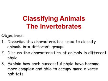 Classifying Animals The Invertebrates