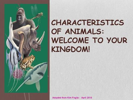 CHARACTERISTICS OF ANIMALS: WELCOME TO YOUR KINGDOM! Adapted from Kim Foglia - April 2015.