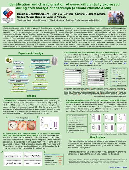 Identification and characterization of genes differentially expressed during cold storage of cherimoya (Annona cherimola Mill). Mauricio González-Agüero.