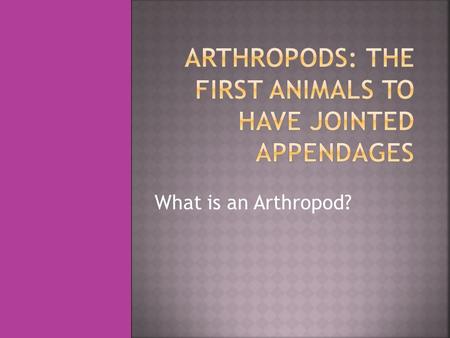 What is an Arthropod?.  Over the course of animal evolution, a number of changes in the coelomate body plan led to the evolution of animals with even.
