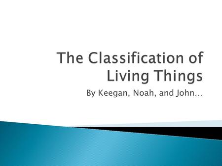 By Keegan, Noah, and John….  Some characteristics of Bacteria are that they can cause decay of many things, they are single celled, and they are able.