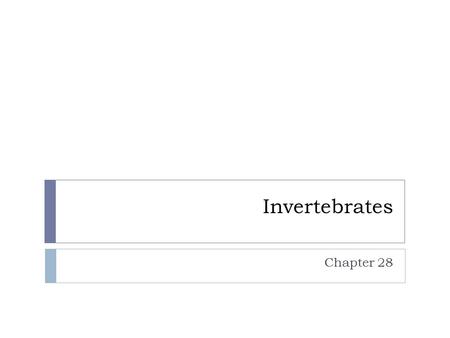 Invertebrates Chapter 28.