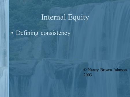Internal Equity Defining consistency © Nancy Brown Johnson 2003.