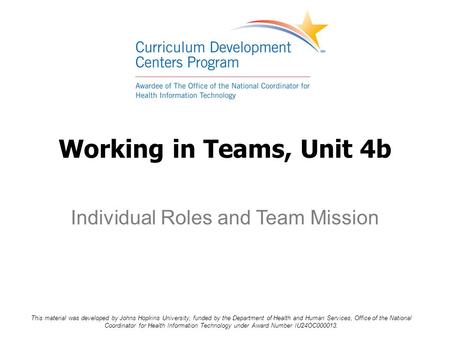 Individual Roles and Team Mission