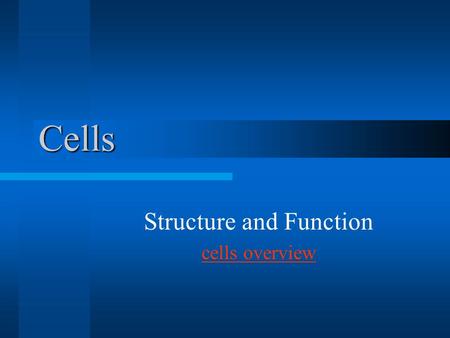 Structure and Function cells overview