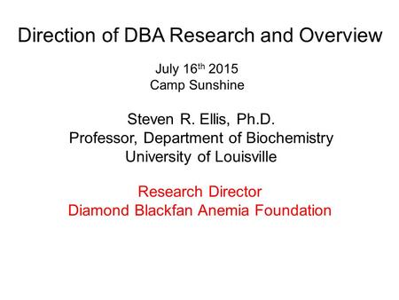 Direction of DBA Research and Overview Steven R. Ellis, Ph.D. Professor, Department of Biochemistry University of Louisville July 16 th 2015 Camp Sunshine.