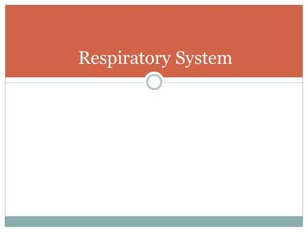 Respiratory System. Purpose of the Respiratory System To exchange oxygen and carbon dioxide between the atmosphere and the blood of the human body. 