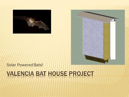 Solar Powered Bats!.  Bat house is on-going project  Interdisciplinary –  Supported by College Sustainability Committee  Computer Programming (me)