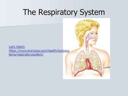 The Respiratory System Let’s Watch https://www.brainpop.com/health/bodysys tems/respiratorysystem/