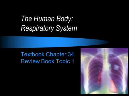 The Human Body: Respiratory System