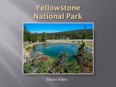 Marci Allen.  Yellowstone National Park has a variety of elements that were discussed in class  Not only is it a hot spot, as mentioned, but it is the.