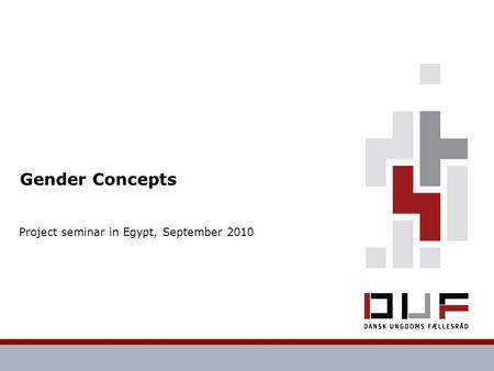 Gender Concepts Project seminar in Egypt, September 2010.