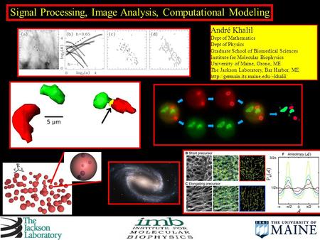Signal Processing, Image Analysis, Computational Modeling André Khalil Dept of Mathematics Dept of Physics Graduate School of Biomedical Sciences Institute.