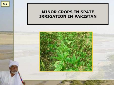 MINOR CROPS IN SPATE IRRIGATION IN PAKISTAN 5.2. MINOR CROPS IN SPATE IRRIGATION IN PAKISTAN There are many useful and high potential crops grown in the.