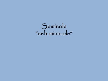 Seminole “seh-minn-ole“. History: Tribes of Georgia and Florida joined together for protection. These tribes merged and unified as the Seminole Nation.