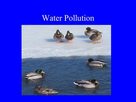 Water Pollution. The Hydrologic Cycle World Water Supply 97.200% salt water in the oceans 02.014% ice caps and glaciers 00.600% groundwater 00.009% surface.