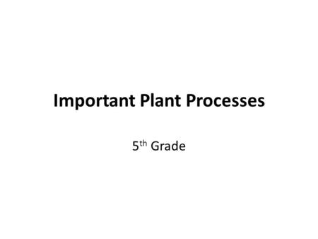 Important Plant Processes