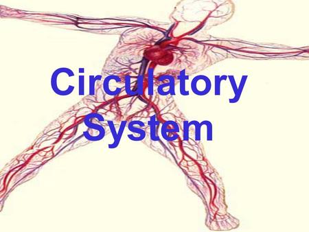 Circulatory System. The circulatory system moves blood from the heart through the body and back to the heart again.