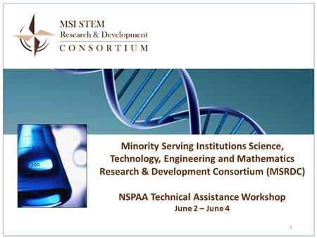 Minority Serving Institutions Science, Technology, Engineering and Mathematics Research & Development Consortium (MSRDC) NSPAA Technical Assistance Workshop.