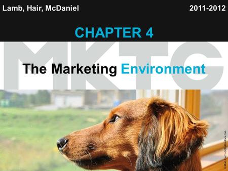 Chapter 4 Copyright ©2012 by Cengage Learning Inc. All rights reserved 1 Lamb, Hair, McDaniel CHAPTER 4 The Marketing Environment 2011-2012 © Mark Herreid/Shutterstock.com.