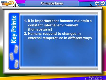 1.It is important that humans maintain a constant internal environment (homeostasis) 2.Humans respond to changes in external temperature in different ways.