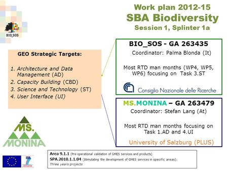 BIO_SOS - GA 263435 Coordinator: Palma Blonda (It) Most RTD man months (WP4, WP5, WP6) focusing on Task 3.ST Work plan 2012-15 SBA Biodiversity Session.